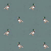 Country Mallard Duck - Slate Grey wallpaper