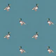 Country Mallard Duck - Mid Blue