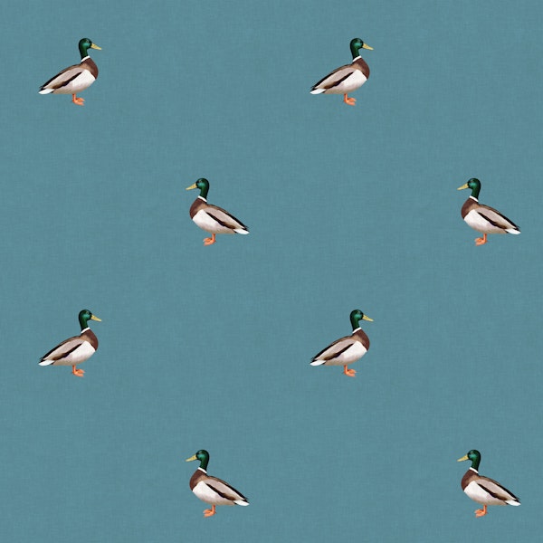 Country Mallard Duck - Mid Blue