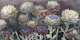 Ethereal Garden Midnight Flowers