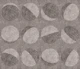 Minimalist Moon Phases