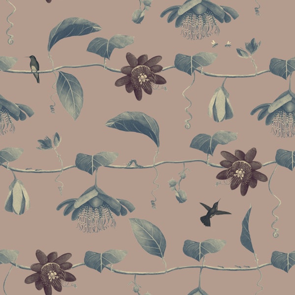 Passion Flower - Rose