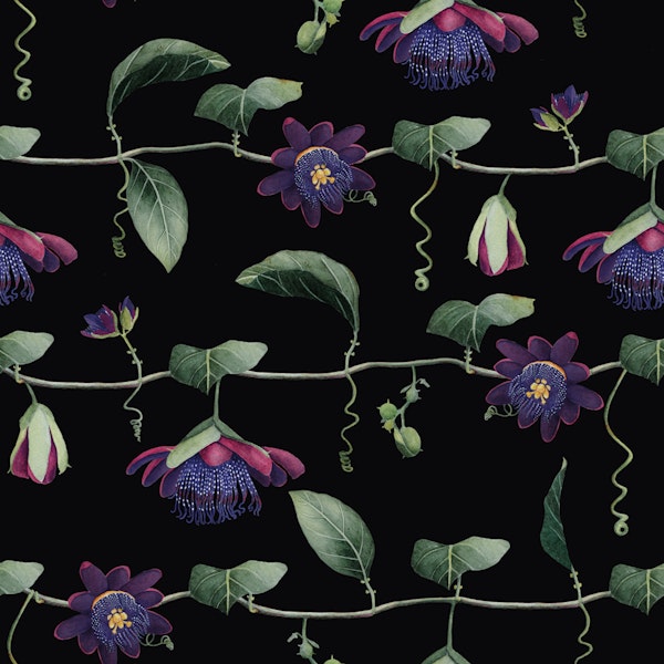 Passion Flower - Black