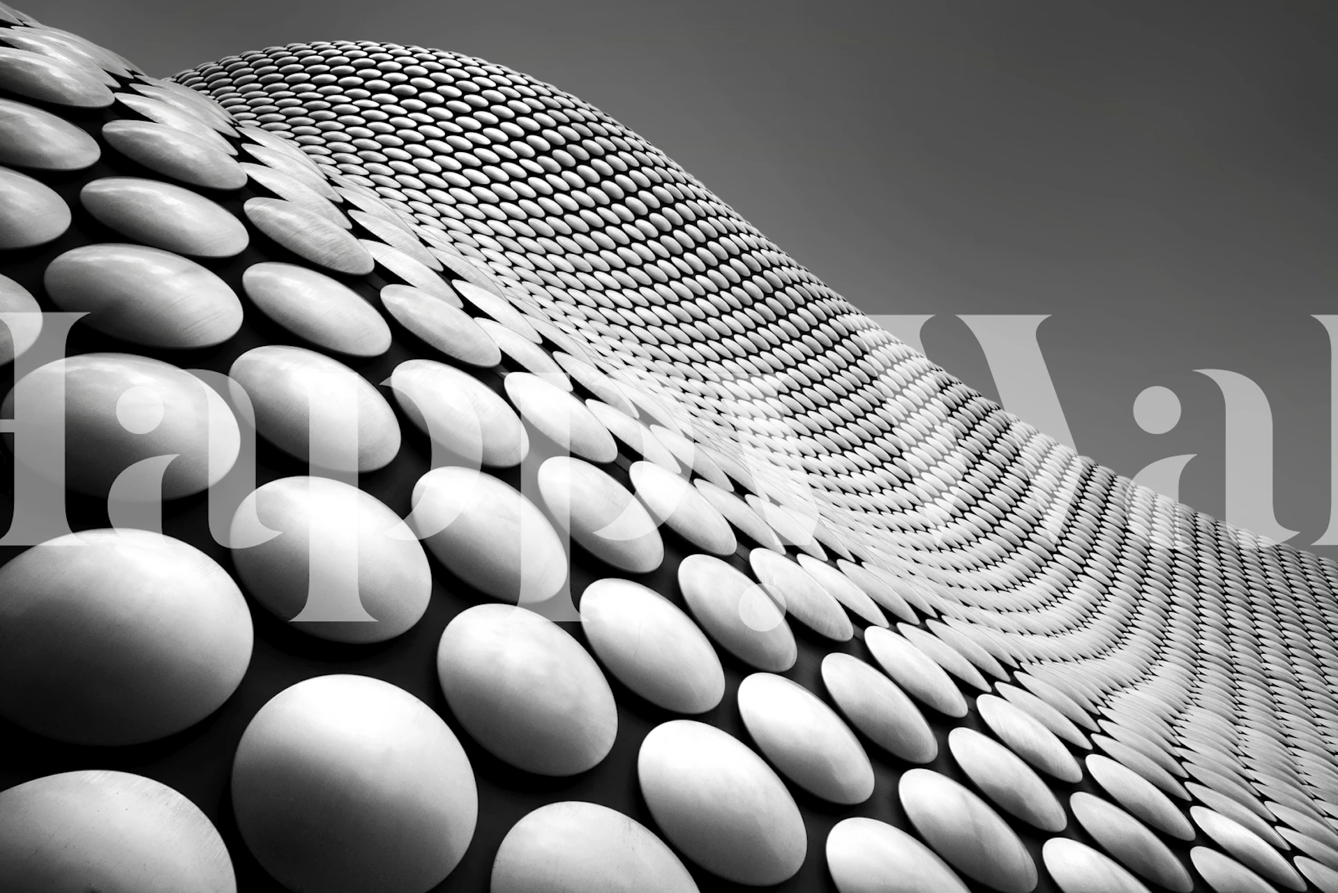 Abstract black and white wall mural with 3D curved pattern design from happywall.com