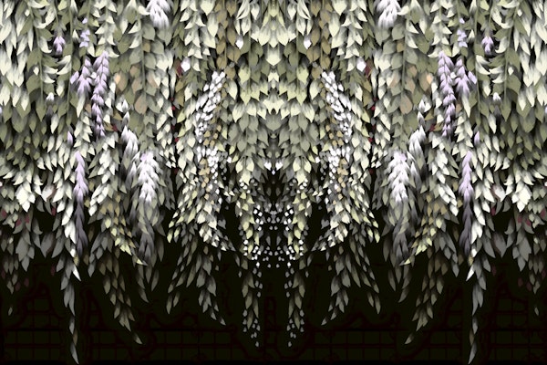 Tranquil Leafy Canopy