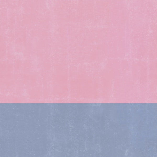 Gentle Contrast Delight