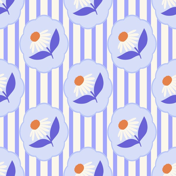 Soft Romantic Daisies