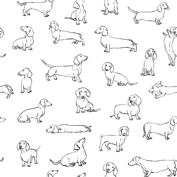 Dachshunds Handmade Doodles