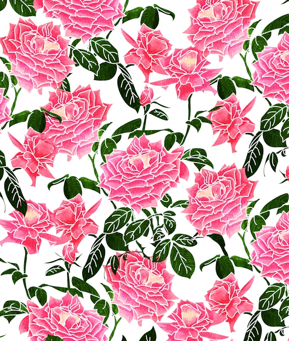Rose v2 wallpaper wallpaper | Happywall