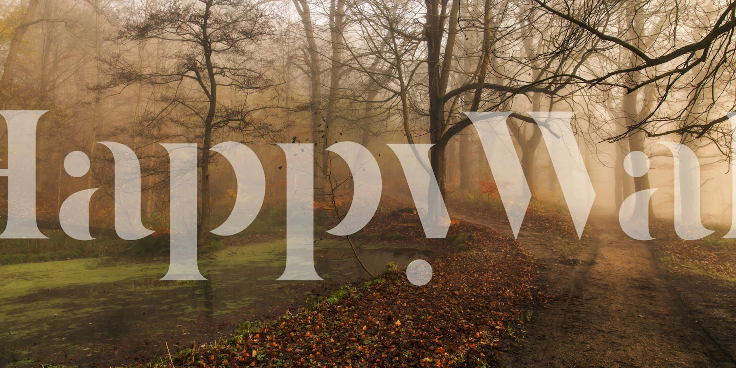 Foggy forest scene with trees and path wallpaper