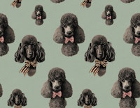 Vintage Poodle Stina Green wallpaper