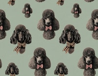 Vintage Poodle Stina Green wallpaper