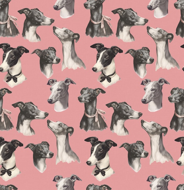 Whippet Beauty Parade Pink