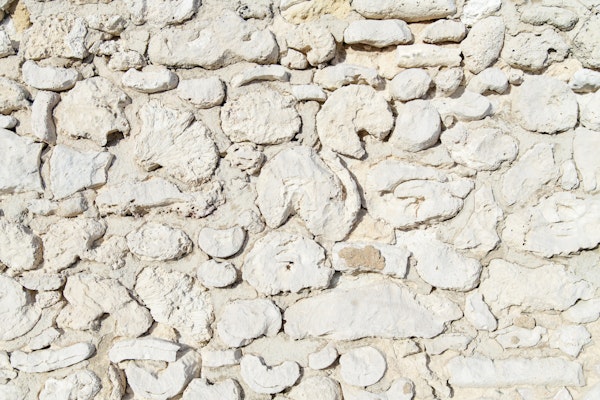 Rustic Caribbean Coral Stone Wall 1