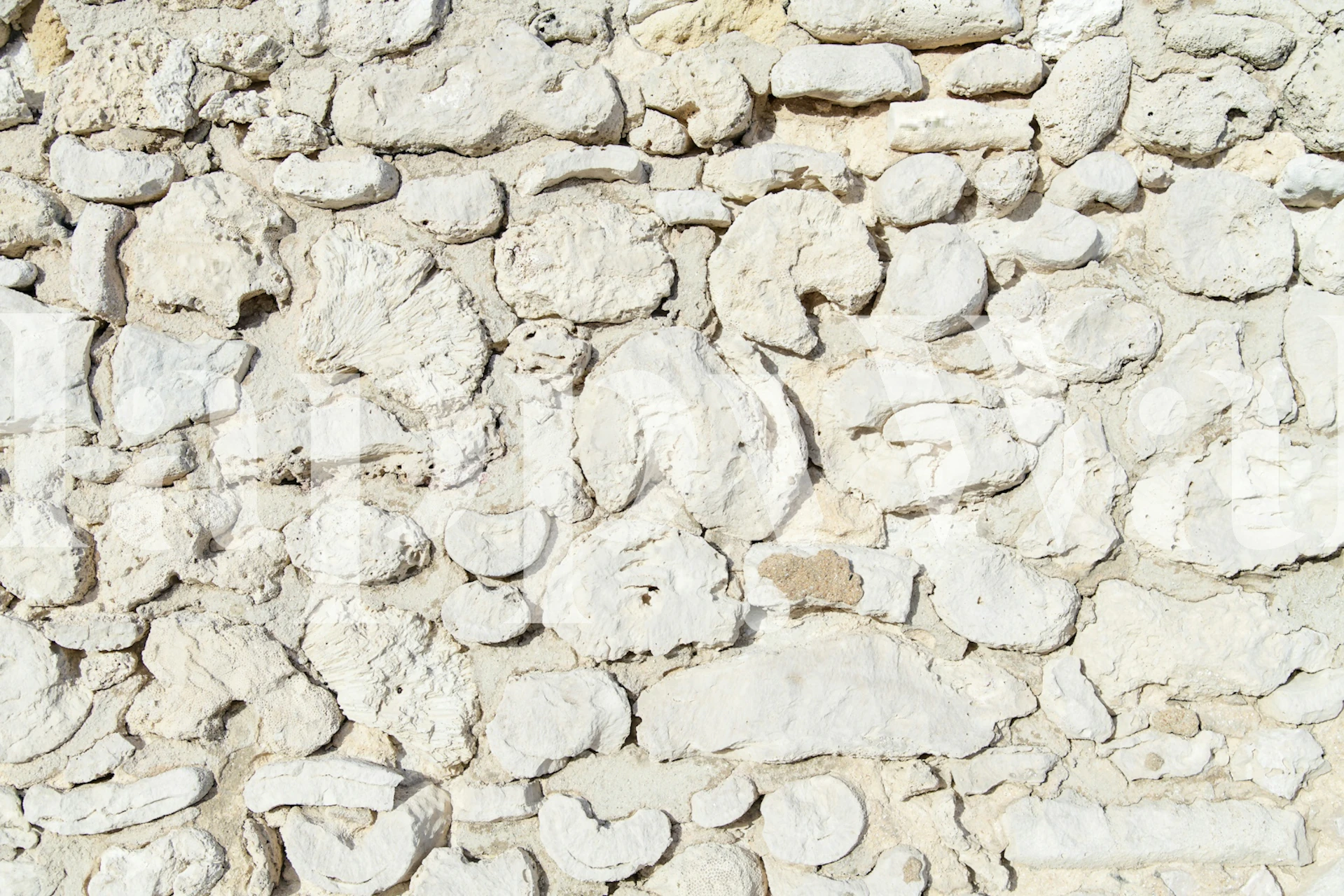 Textured white coral stone wall in rustic style wallpaper