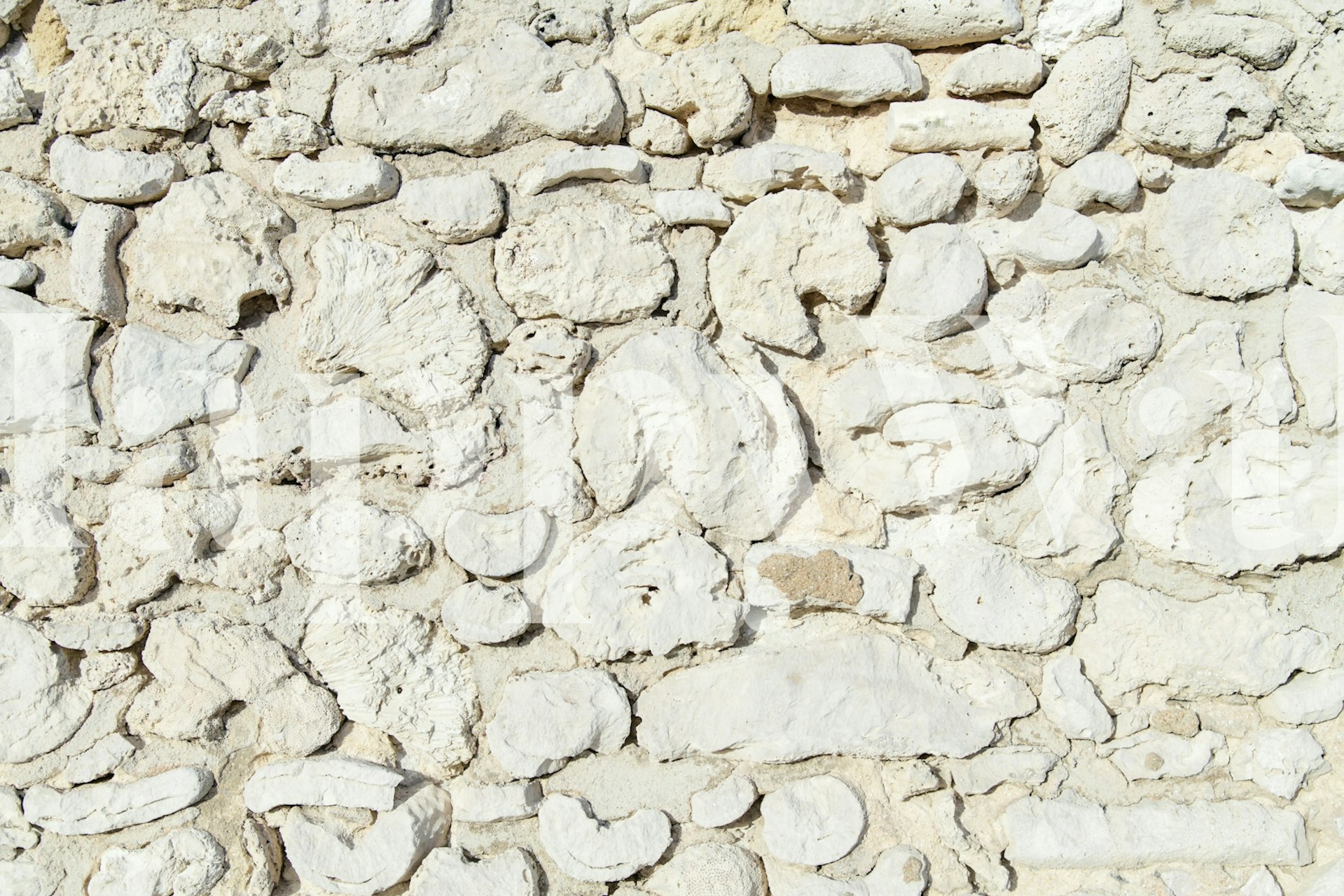 Rustic Caribbean Coral Stone Wall tapet i ett rum