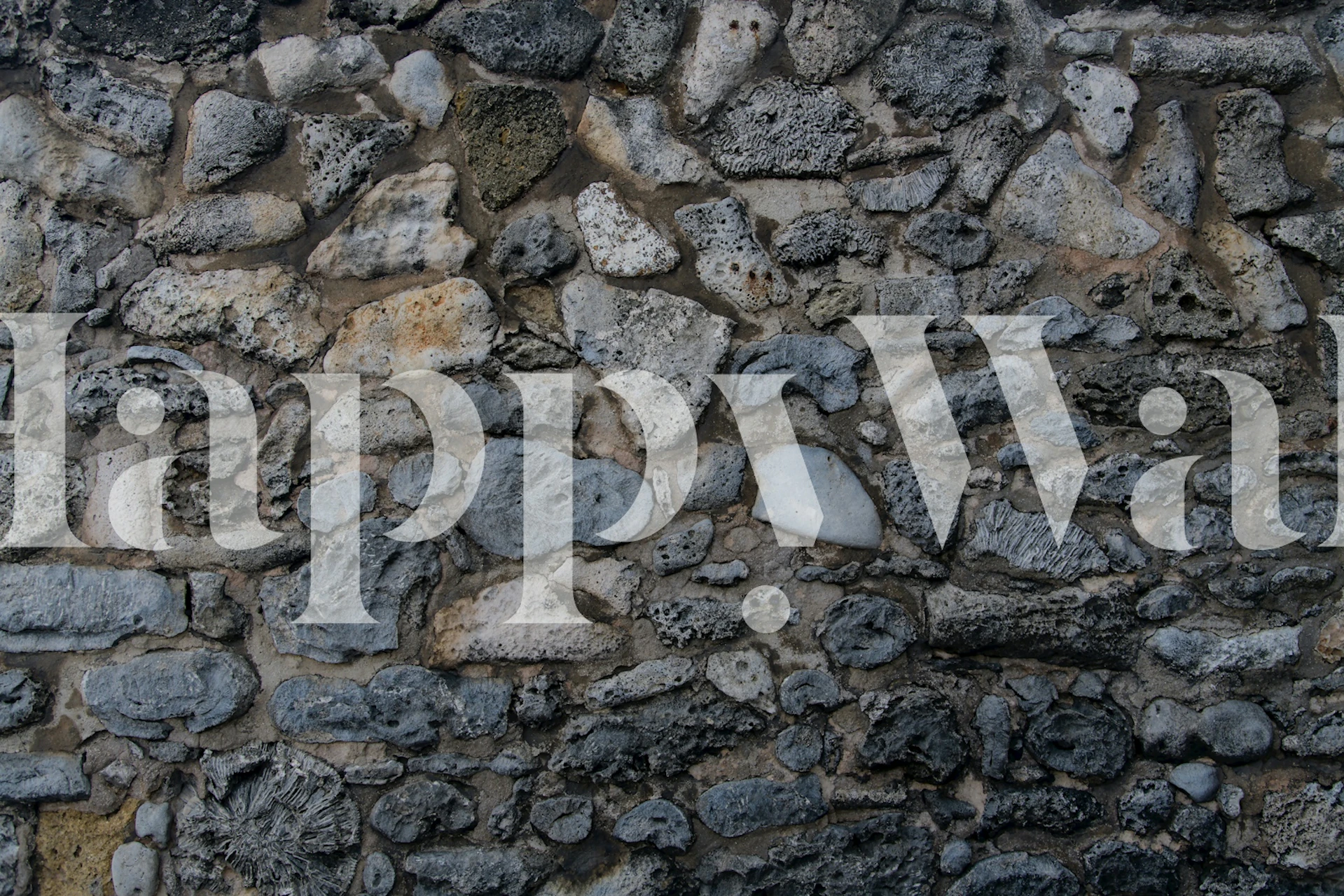 Rustic Caribbean coral stone wall wallpaper in a room