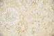 Caribbean Coral Stone Glam 1