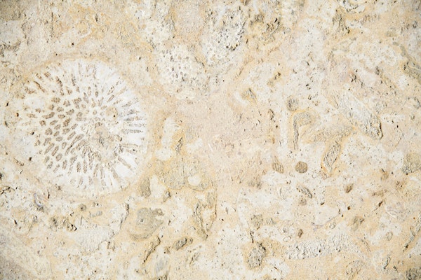 Caribbean Coral Stone Glam 1