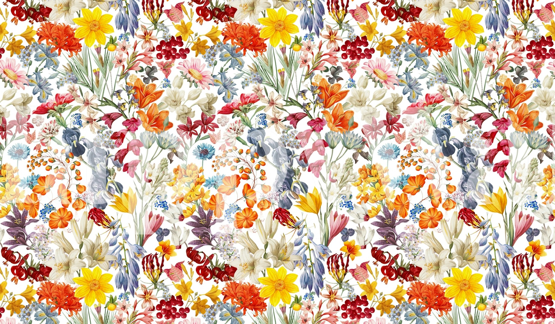 Colorful floral patterns with reds, blues, and yellows wallpaper