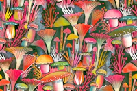 Magical mushroom forest dark wallpaper