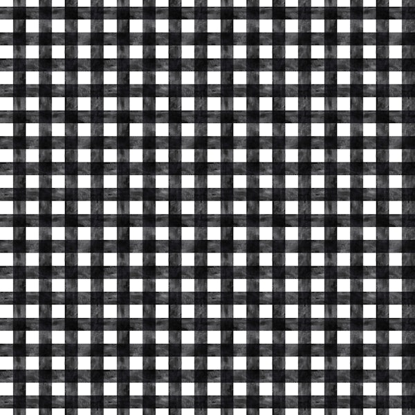 Black and White Watercolor Gingham