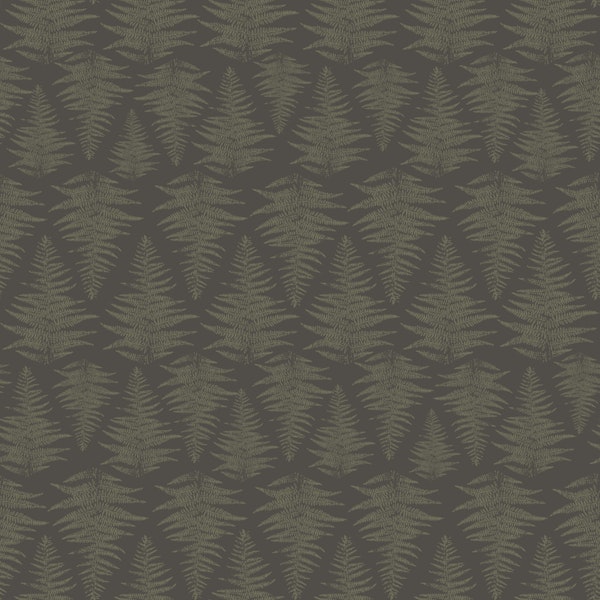 Dark Forest Ferns