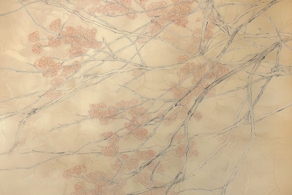 Delicate Tree Branches and Blossoms