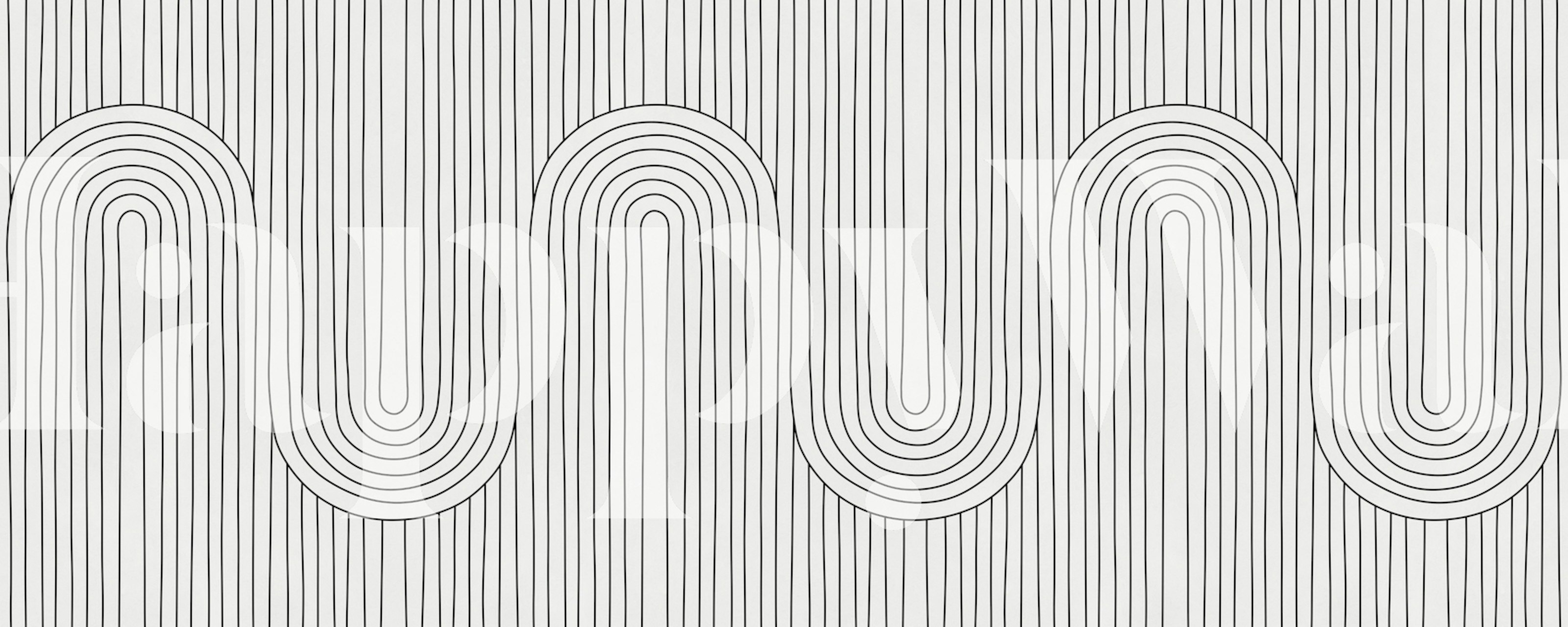 Carta da parati Monochrome Line Waves in una stanza