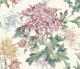 Botanical Charm Delight cream