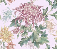 Botanical Charm Delight pink ταπετσαρία