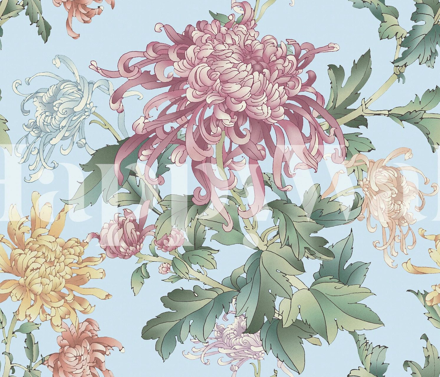 Chrysanthemum flowers in pink, yellow, and white on blue background wallpaper