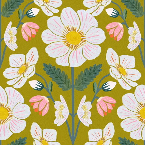 Mountain Avens Blossoms in Springtime