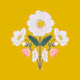 Sunny Floral Harmony