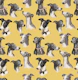 Whippet Beauty Parade Yellow