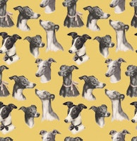 Whippet Beauty Parade Yellow carta da parati