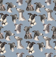 Whippet Beauty Parade Blue tapet
