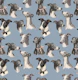 Whippet Beauty Parade Blue