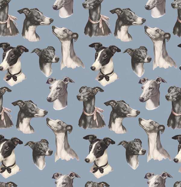 Whippet Beauty Parade Blue