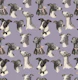 Whippet Beauty Parade Purple