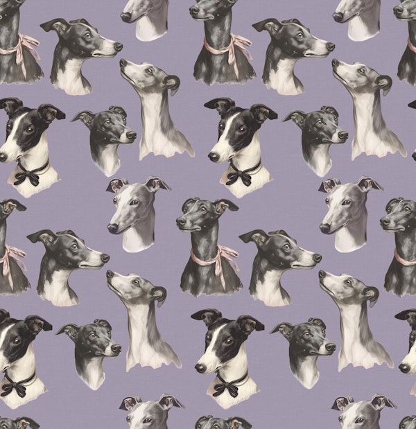 Whippet Beauty Parade Purple