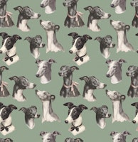 Whippet Beauty Parade Green carta da parati