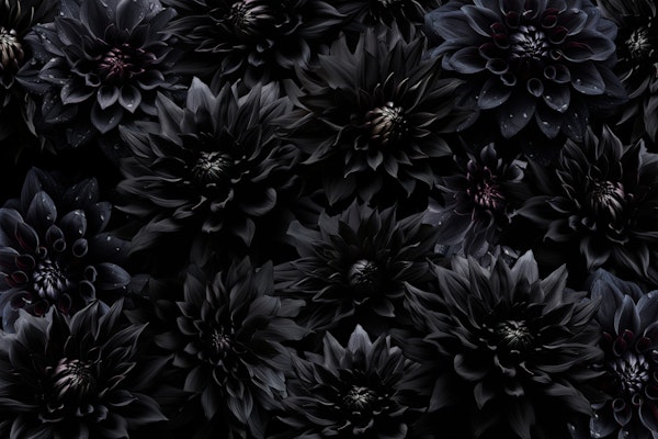 Nocturnal Floral Elegance