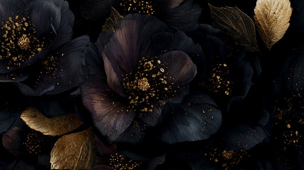 Nocturnal Flower Glamour