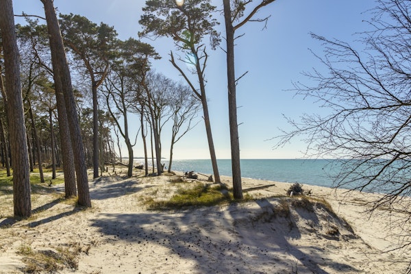 Baltic Sea Beach Day