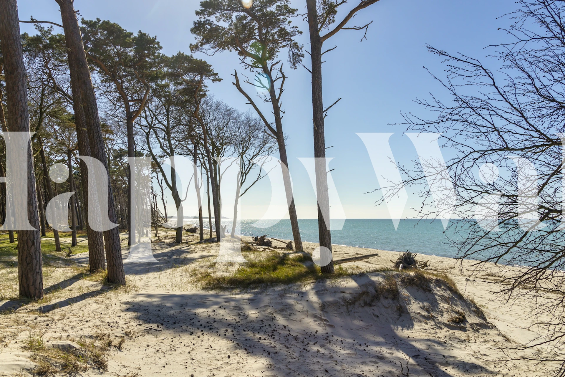 Baltic Sea beach scene tapet i et rum