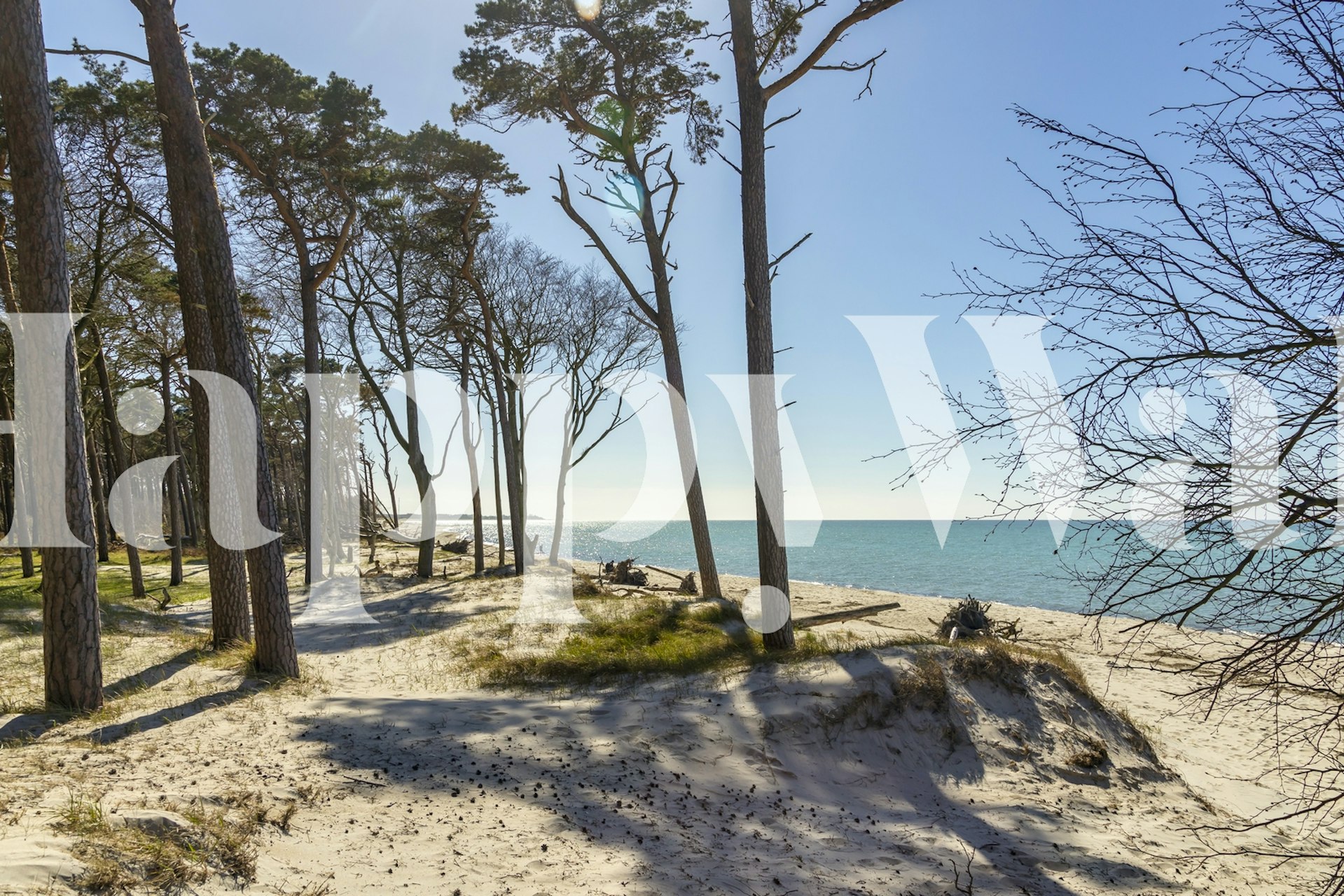 Light blue sea view with trees and sandy beach wallpaper