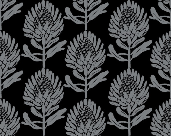 Protea In Black