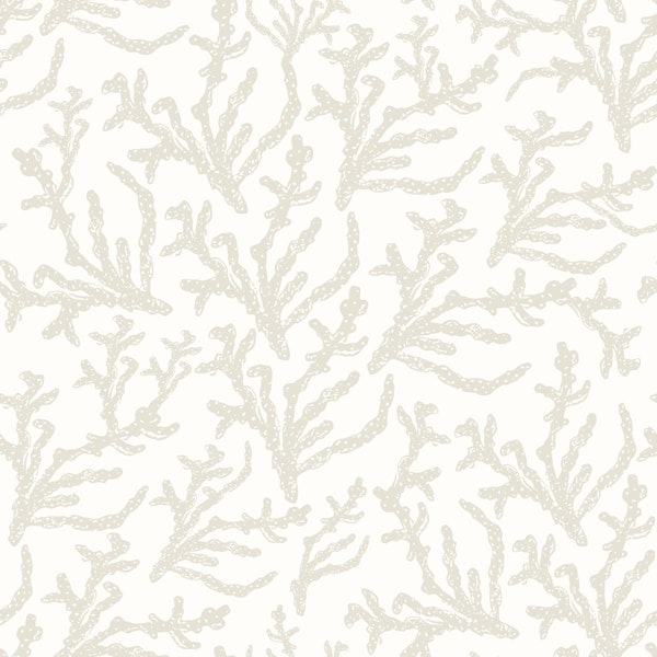 Neutral Coastal Coral Dreams