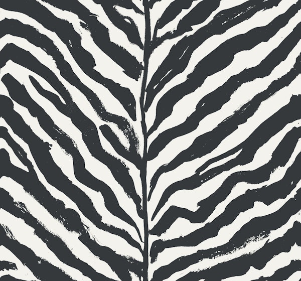 Zebra Print